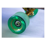 Longboards Dusters Predator 34" Multicolor